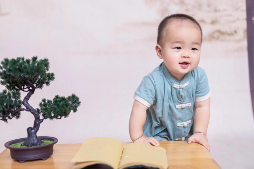 澳门可爱的企鹅宝宝